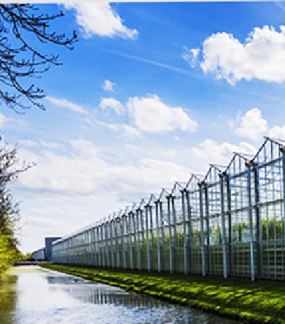 Modern
                                                        Greenhouses
