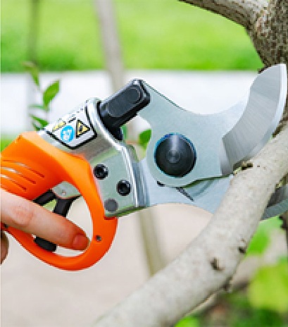 Pruning
                                                        and Weed Removal Tools